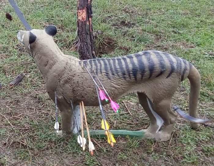 Modificaci&oacute;n excepcional Cto Navarro de 3D